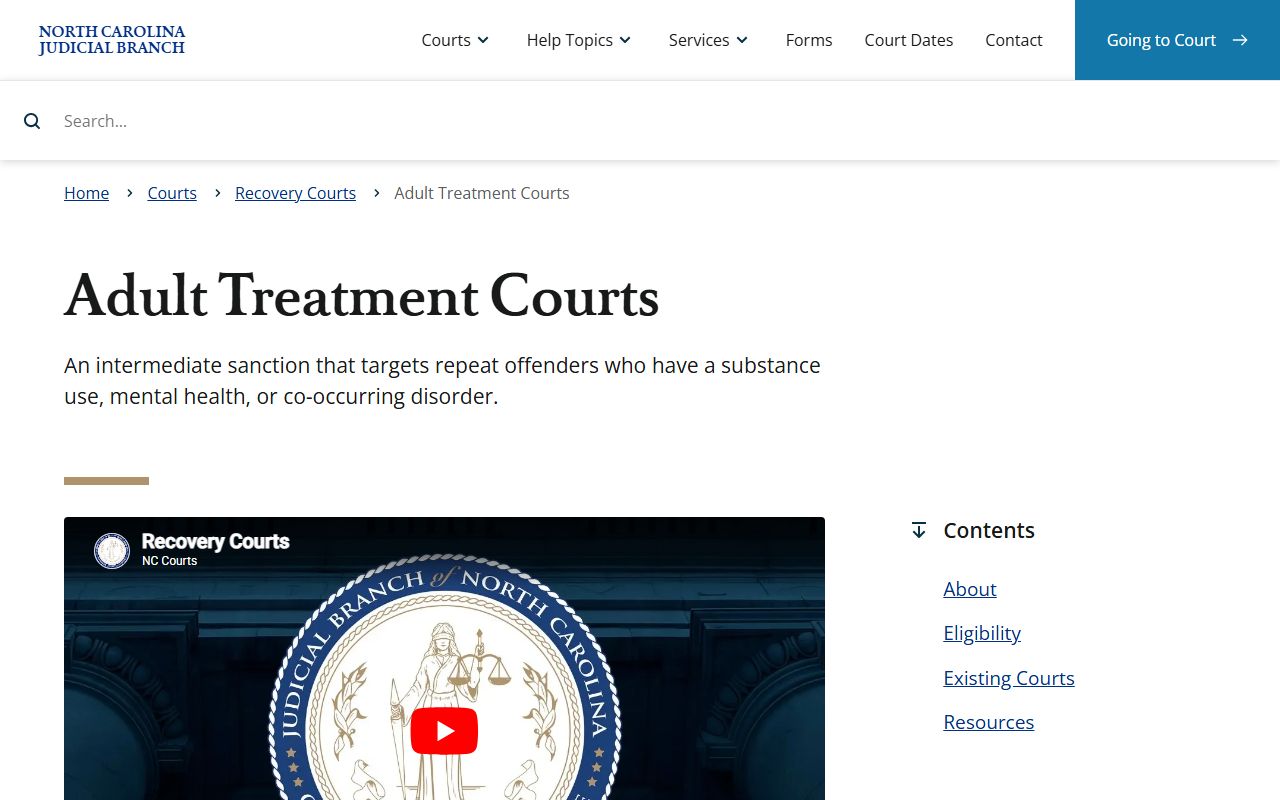 Henderson County District Court adult treatment court